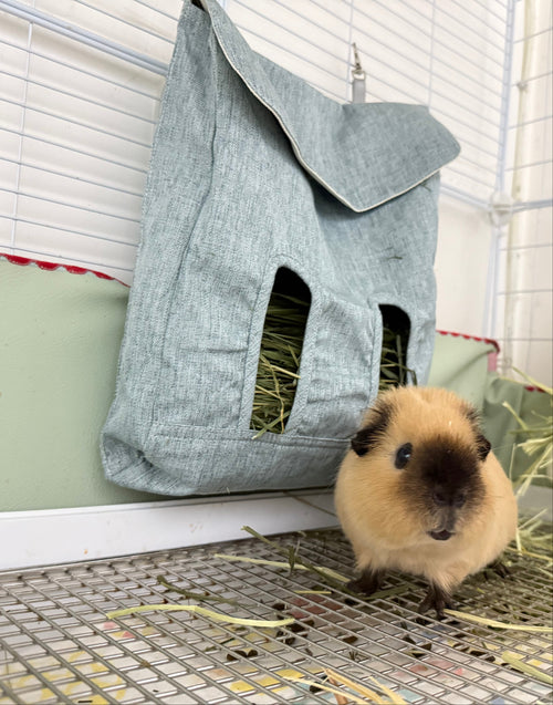 Guinea Pig Hay Feeder Bag | Eco-Friendly & Durable