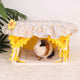 Cozy Guinea Pig Hideout with Tassel Curtains