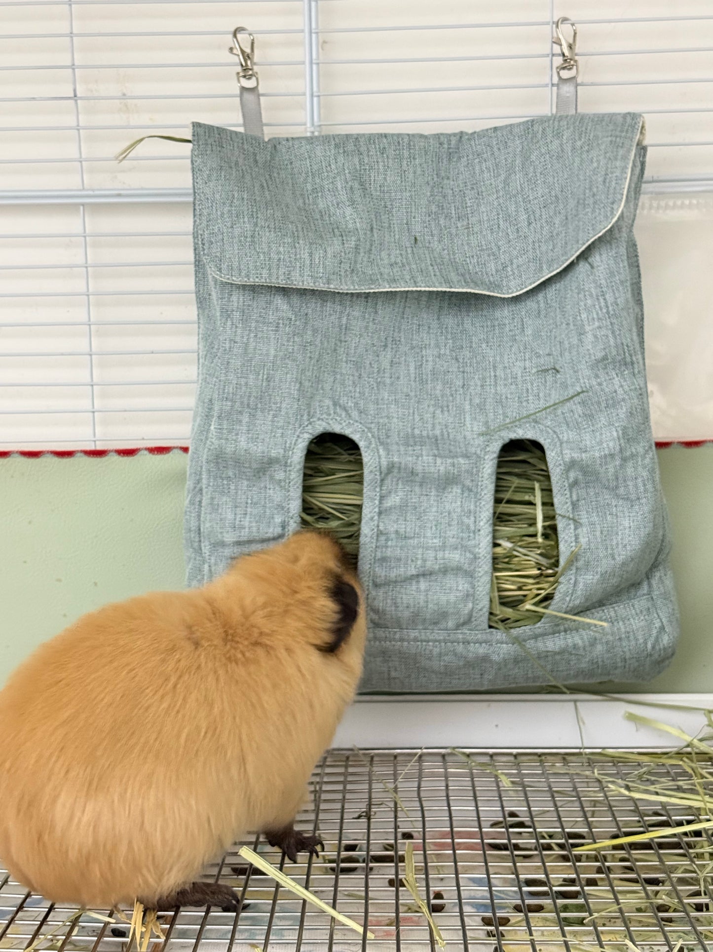 Guinea Pig Hay Feeder Bag | Eco-Friendly & Durable
