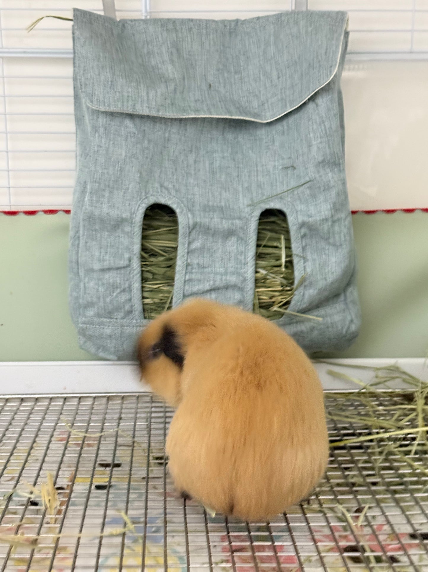 Guinea Pig Hay Feeder Bag | Eco-Friendly & Durable