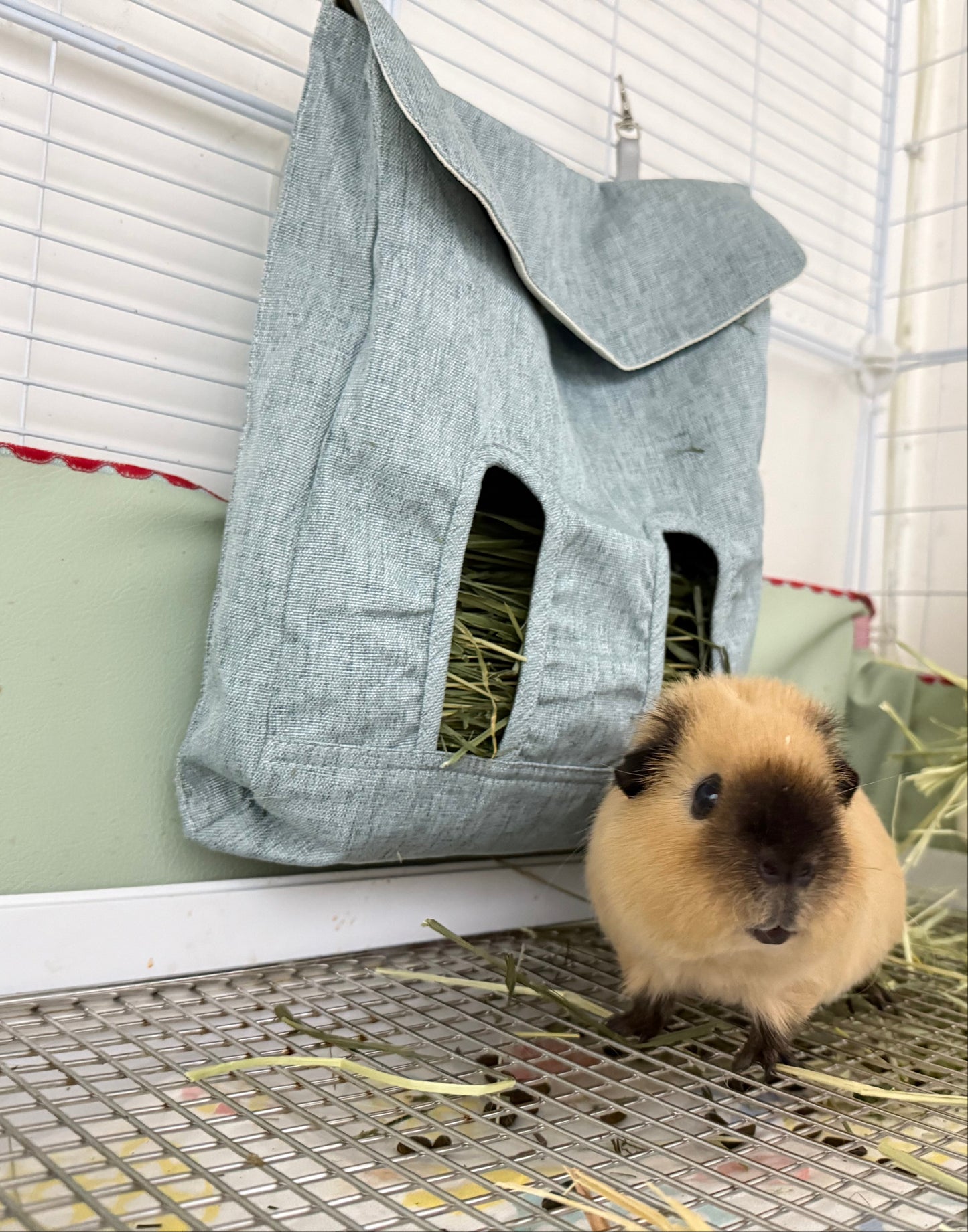Guinea Pig Hay Feeder Bag | Eco-Friendly & Durable
