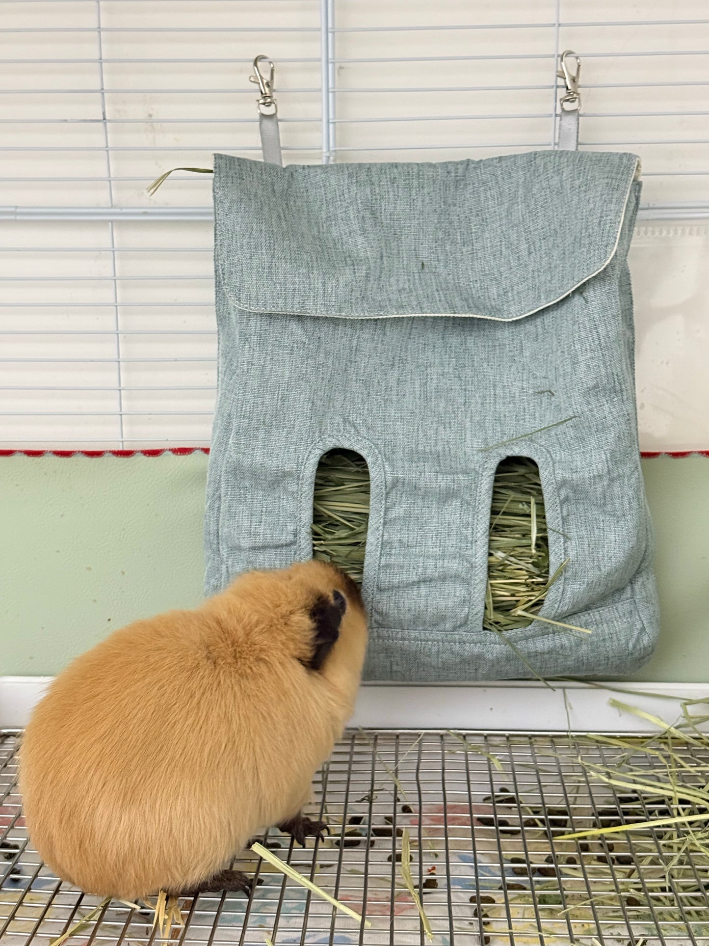 Guinea Pig Hay Feeder Bag | Eco-Friendly & Durable
